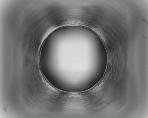 X0000098031486200804071405