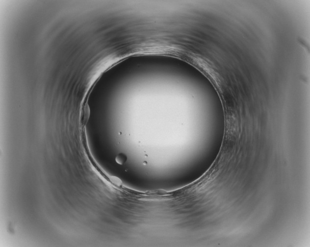 X0000098031487200804071405