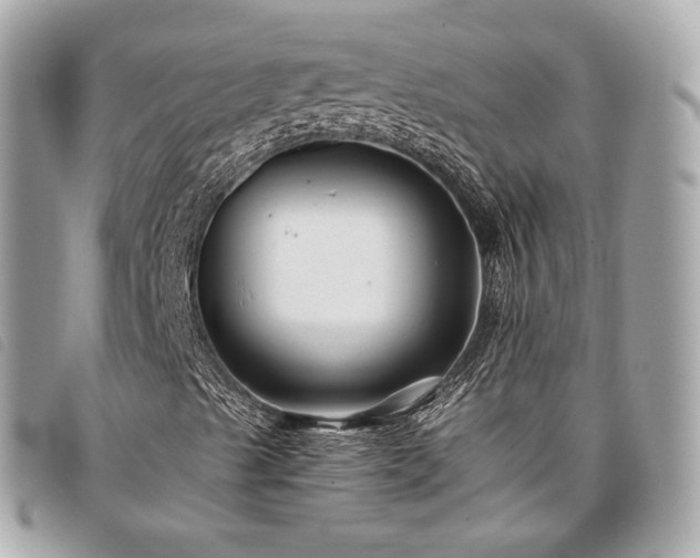 X0000098031489200804071405