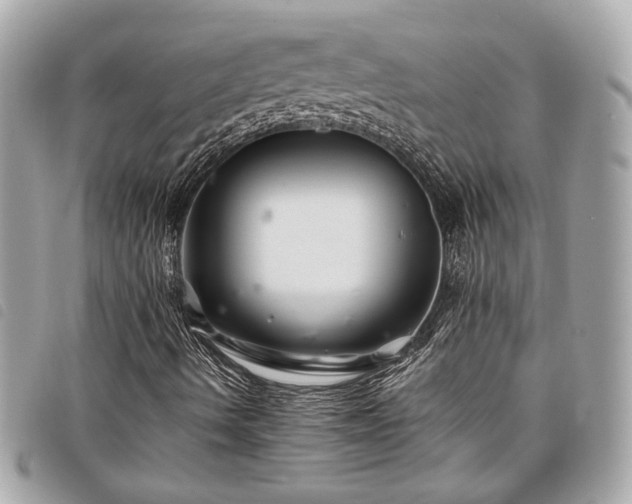 X0000098031490200804071405