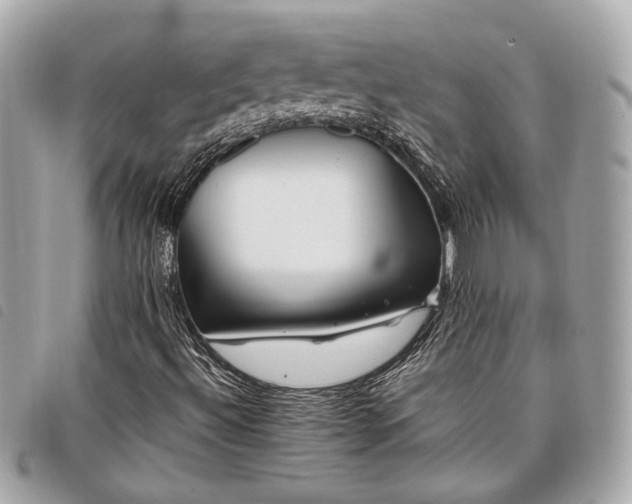 X0000098031492200804071405