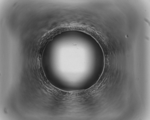 X0000098031493200804071405