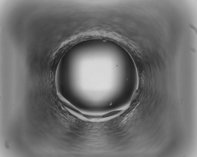 X0000098031494200804071405