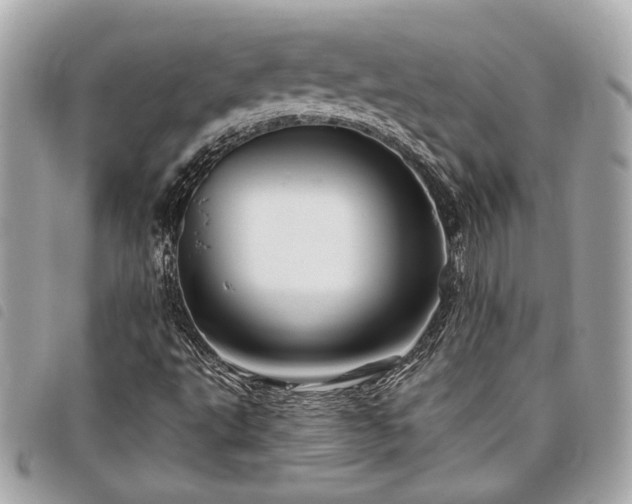 X0000098031495200804071405