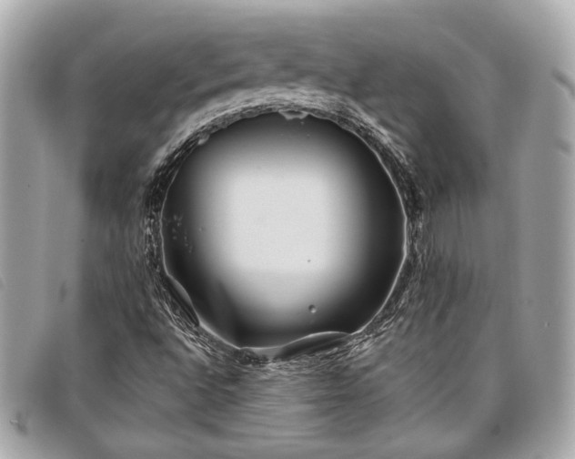 X0000098031496200804071405