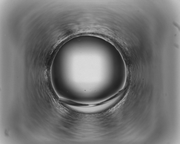 X0000098031497200804071405