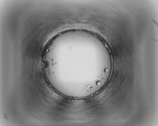 X0000098031498200804071405