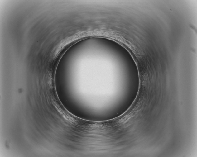 X0000098031499200804071405