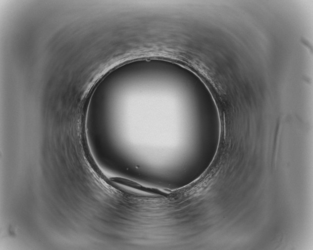 X0000098031500200804071405