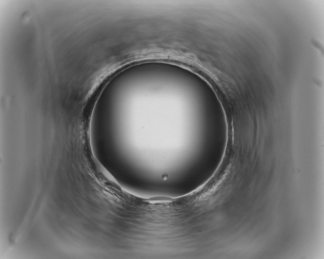 X0000098031501200804071405