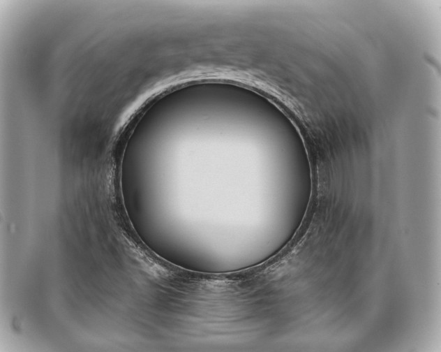 X0000098031502200804071405