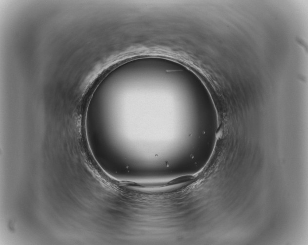 X0000098031503200804071405