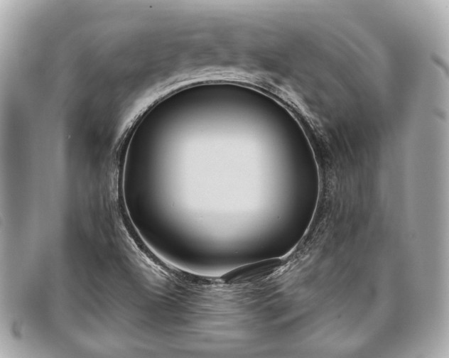 X0000098031504200804071405