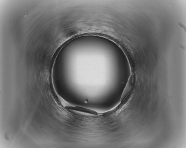 X0000098031505200804071405