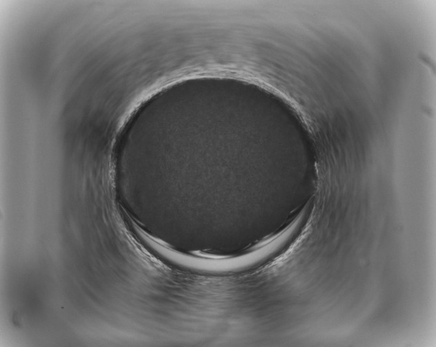 X0000098031506200804071405