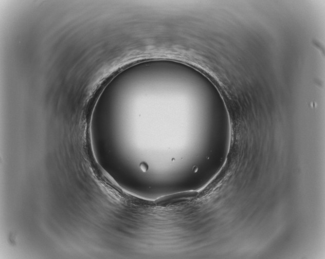 X0000098031507200804071405