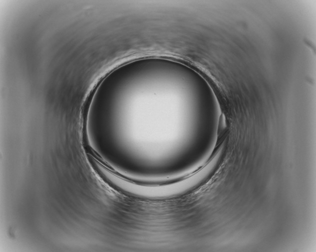 X0000098031508200804071405