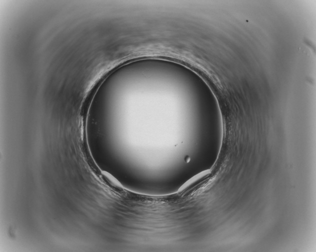 X0000098031509200804071405