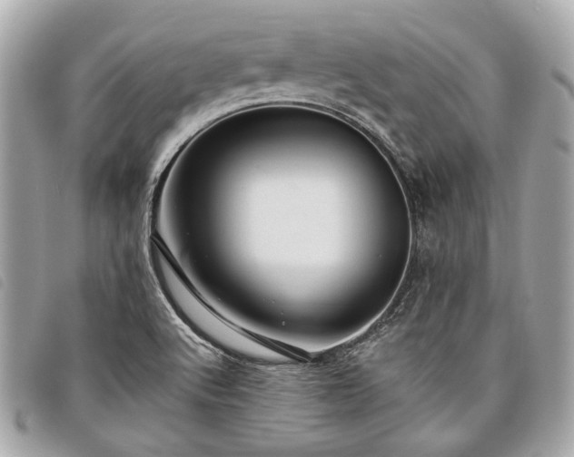 X0000098031512200804071405