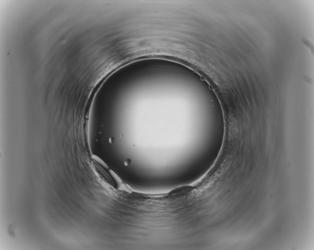 X0000098031513200804071405