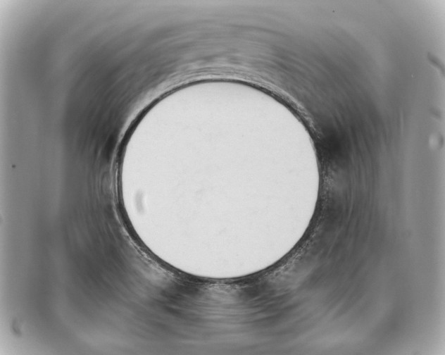 X0000098031514200804071405