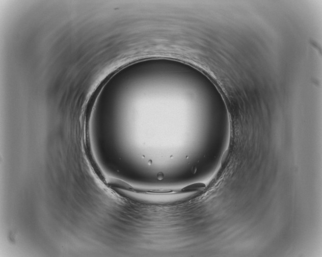 X0000098031515200804071405