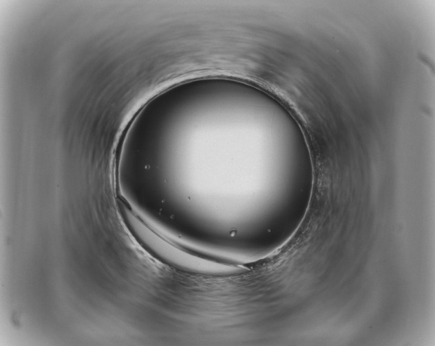 X0000098031516200804071405