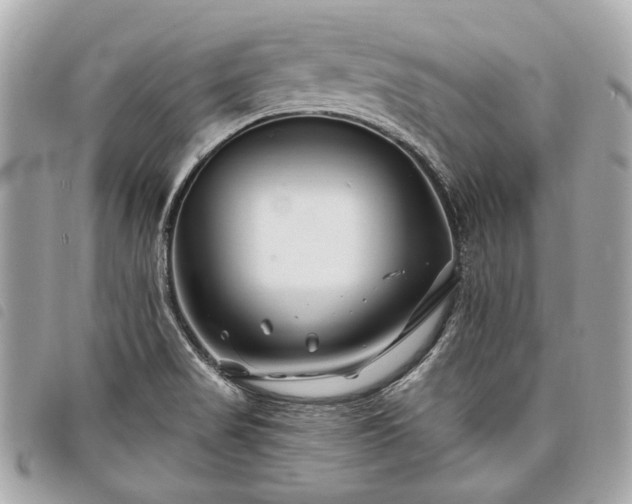 X0000098031517200804071405