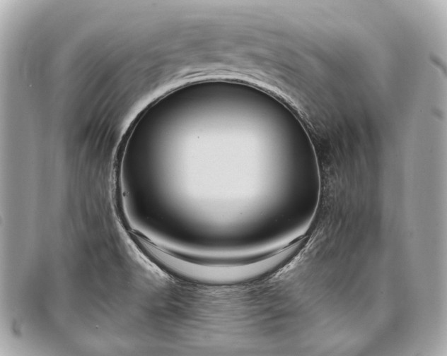 X0000098031518200804071405