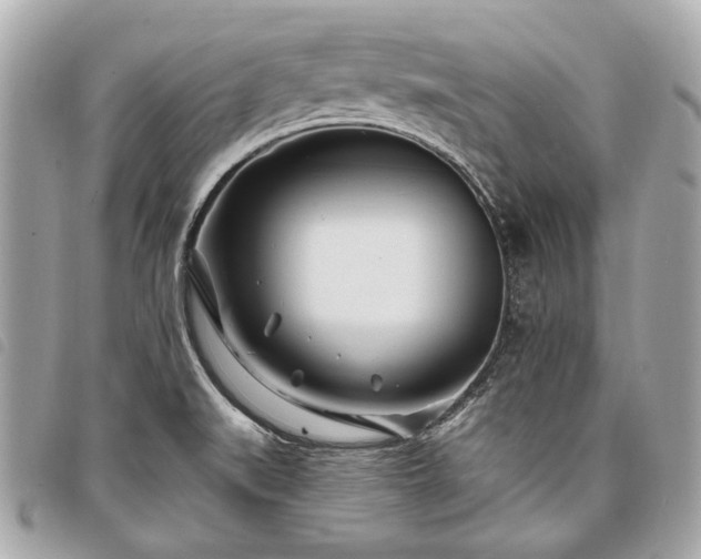 X0000098031519200804071405