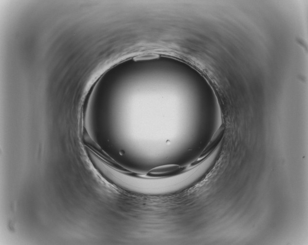 X0000098031520200804071405