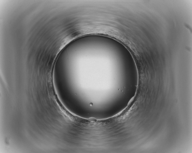 X0000098031521200804071405