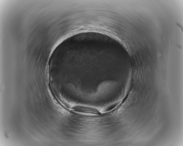 X0000098031522200804071405