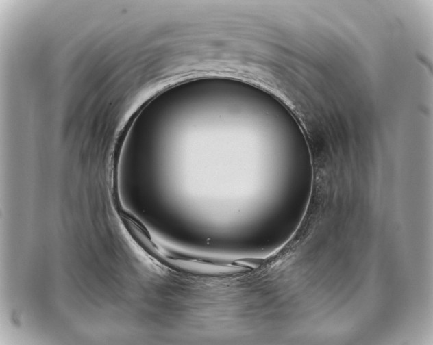 X0000098031523200804071405