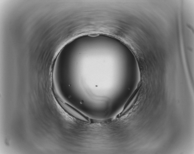 X0000098031524200804071405