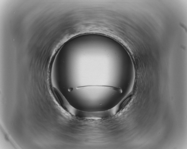 X0000098031525200804071405