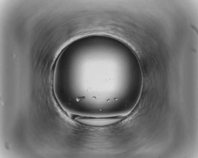 X0000098031526200804071405