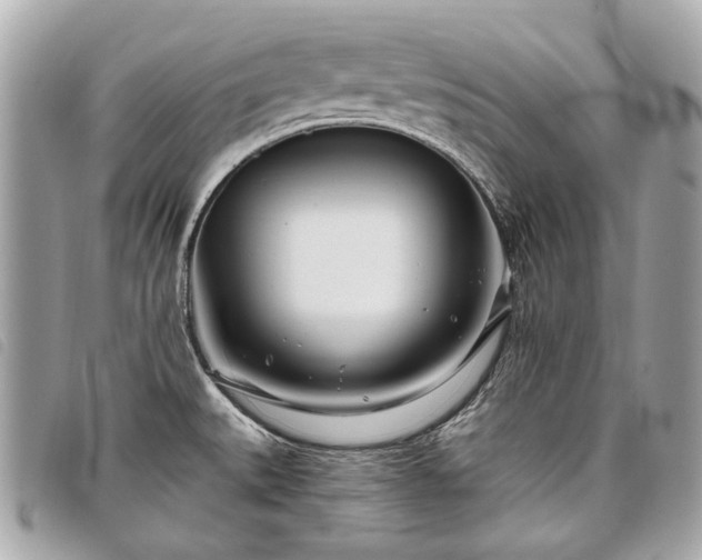 X0000098031527200804071405