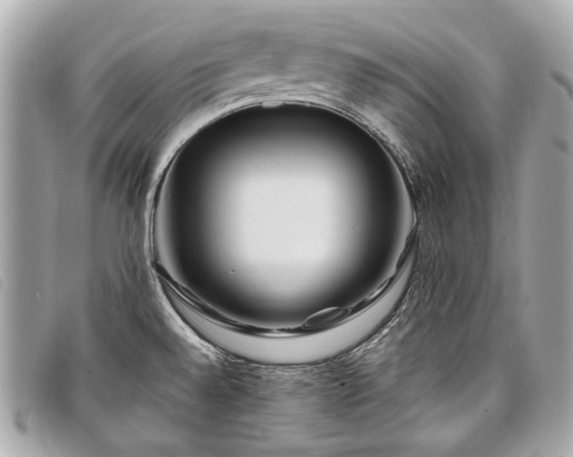 X0000098031528200804071405