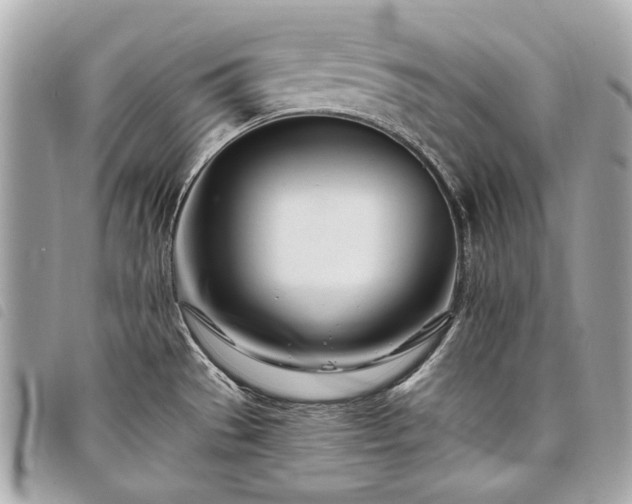 X0000098031529200804071405