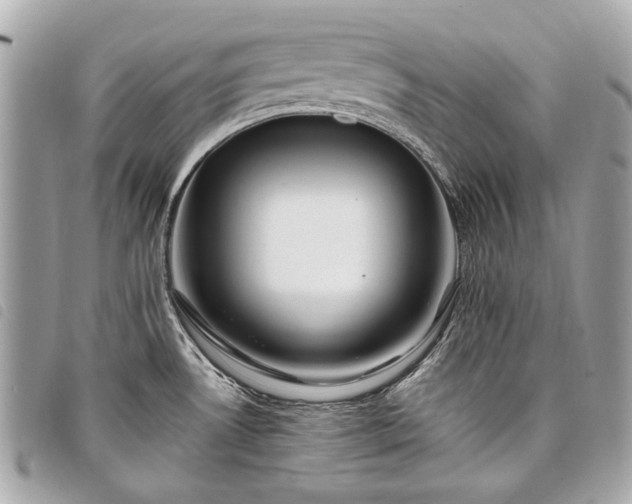 X0000098031530200804071405