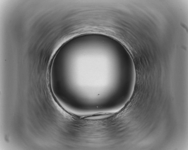 X0000098031531200804071405