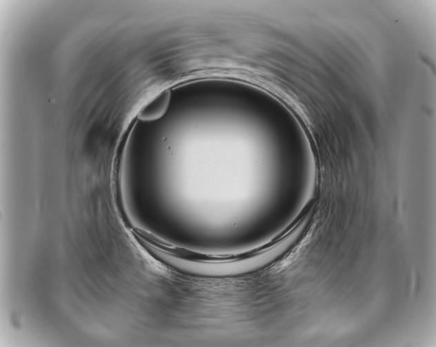 X0000098031533200804071405