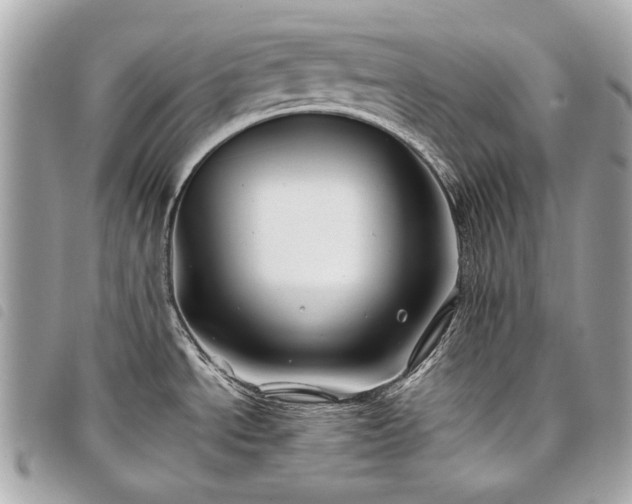 X0000098031534200804071405