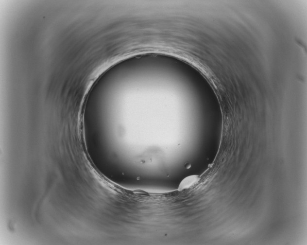 X0000098031535200804071405