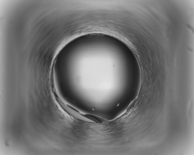 X0000098031536200804071405