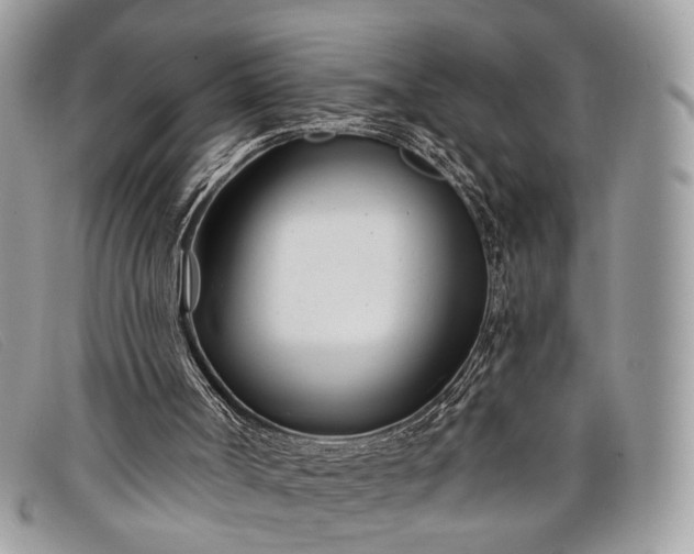 X0000098030002200804111333