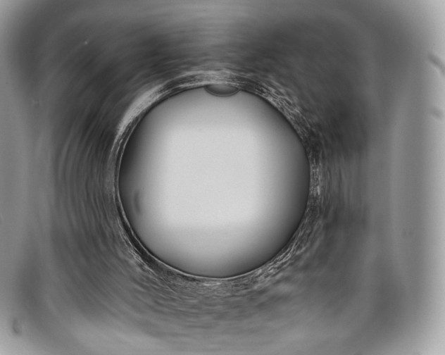 X0000098030004200804111333