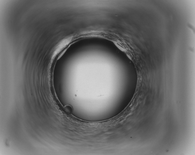 X0000098030006200804111333