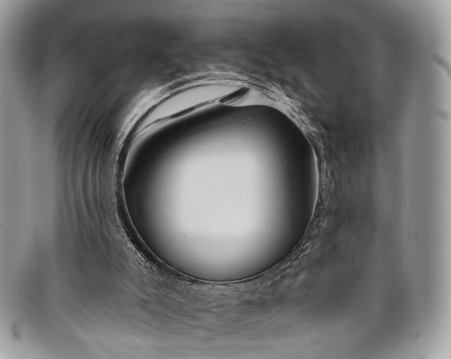 X0000098030007200804111333